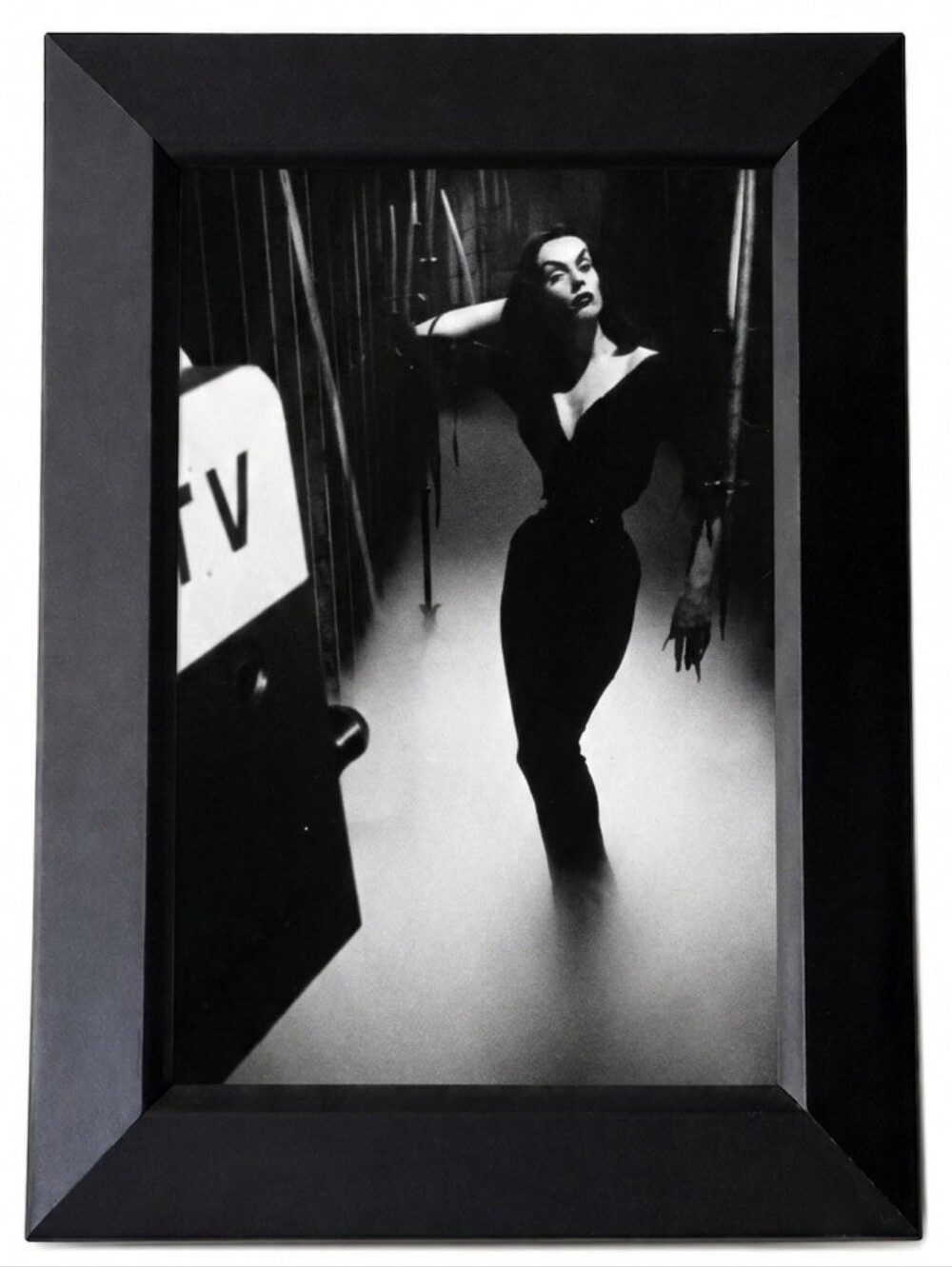 Vampira Rare Vintage Horror Gothic Punk Witchy Goth Beautiful beauty portrait